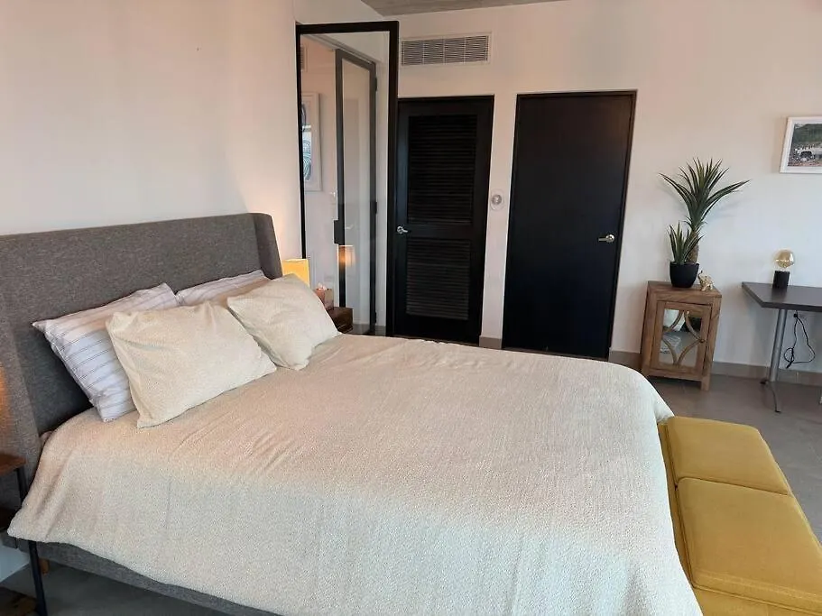Cozy Modern Loft With Ocean View Near Old San Juan Apartment